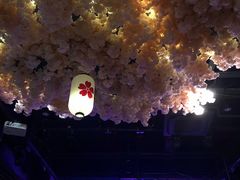 -TZ House音乐现场(茅台店)