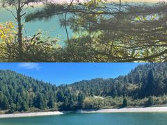 -武陵山森林公园