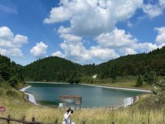 -武陵山森林公园