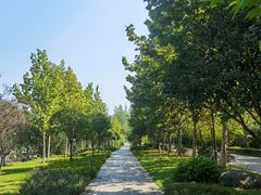 -大渡口区义渡公园