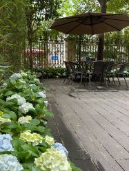 -医颜医疗美容门诊部