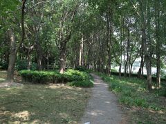 -上海汽车博览公园-北门停车场