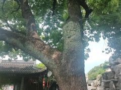 -口岸雕花楼