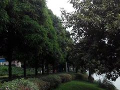 -南宁南湖公园