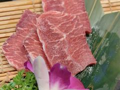 -杨小佳·齐齐哈尔烤肉·烤串(广州店)