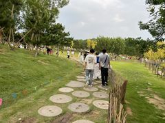 -小麦岛公园