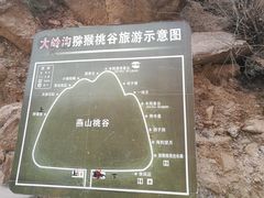 -大岭沟猕猴桃谷风景区