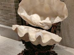 -龙悦湾酒家·八阵鱼生·渔人码头店