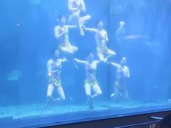 -蓬莱欧乐堡海洋极地世界