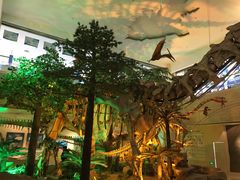 -甘肃地质博物馆