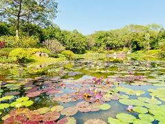 -云溪植物园