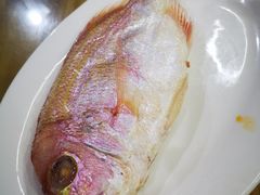 -长平肥姐白粥·海鲜打冷