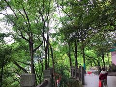 -九峰山