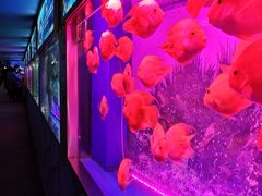 -大明湖海底世界