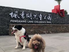 -枫香湖儿童公园