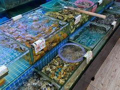 水产区-叶姐海鲜(棋子湾店)