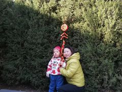 -大班家政月嫂育儿嫂(总部店)