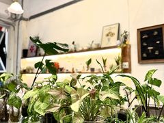 -绿小院(荔湾店)