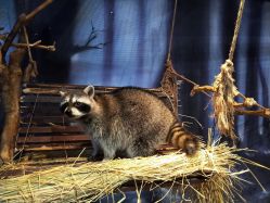 -酷嗒动物文化乐园(cutezoo西溪乐天城店)