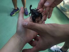 -藦茜花园宠物主题亲子互动体验馆(国顺东路店)