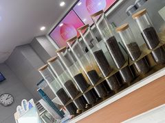 -雾与山茶(大禹城店)