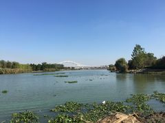 -澹台湖公园