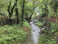 -素山寺森林公园