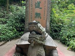 -青城山