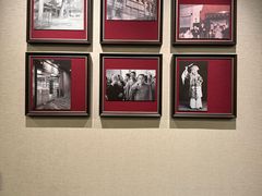 -峨嵋酒家(牡丹园店)