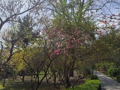 -迎泽公园