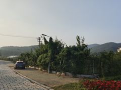 -大连北马山庄