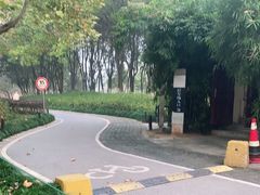 -月湖风景区