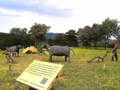 -北京西山国家森林公园