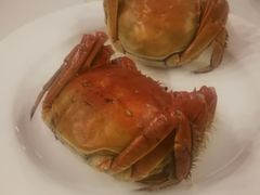 -王宝和酒家(黄浦店)