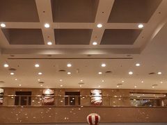 -南京维景国际大酒店(南京博物院店)