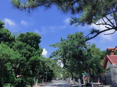 -八大关景区
