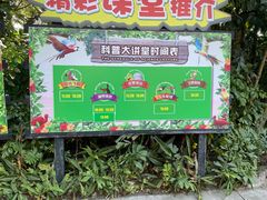 -广州长隆飞鸟乐园