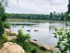 -长春市南湖公园