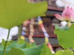 -庐山风景名胜区-东林大佛