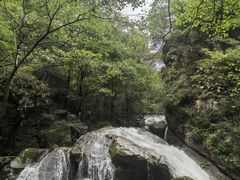 -牛背梁国家森林公园