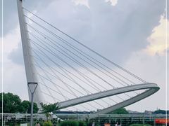 -紫荆广场·花漫里