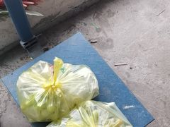 -马陆小张葡萄园农家乐