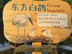 -合肥野生动物园