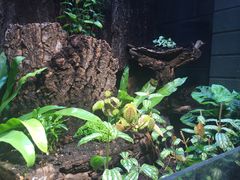 -有才叔的小馆(招商依云曲江店)