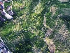 -紫鹊界梯田景区