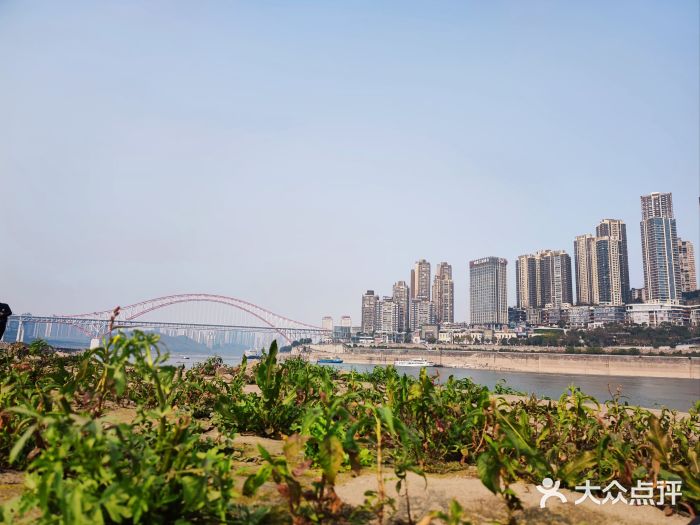 重庆市江北嘴中央商务区中央公园图片