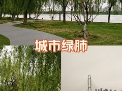 -咸阳湖景区
