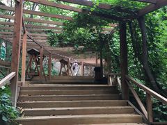 -大岭沟猕猴桃谷风景区