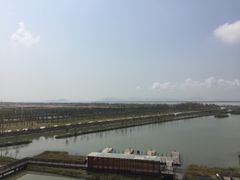 -芒洲湿地公园