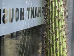 -小象家照相馆(大都荟店)